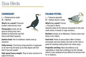 Wildlife Fact Sheets