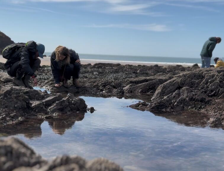 Exploring the rocky shore at Manorbier